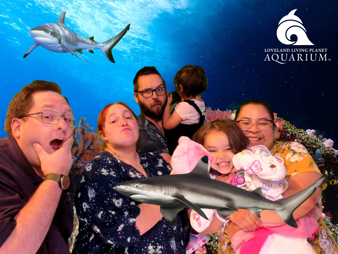 Family time at the aquarium